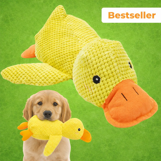 Anti-Stress-Ente – Entwickelt für Hundeaugen - Der Bestseller